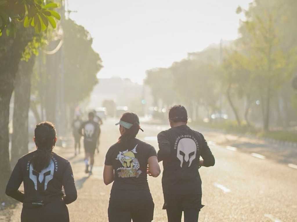 Search image article