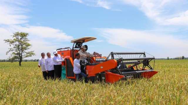 Search image article