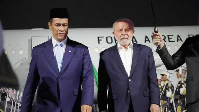 Search image article