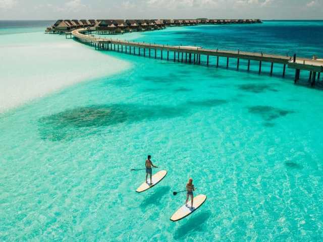 Search image article