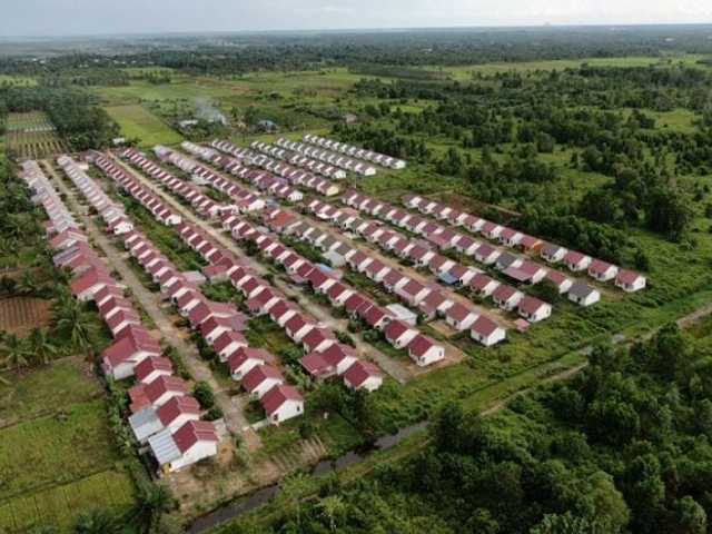 Search image article