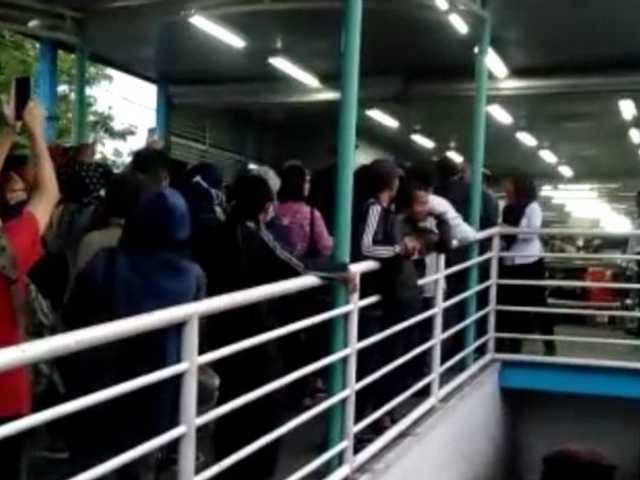 Search image article