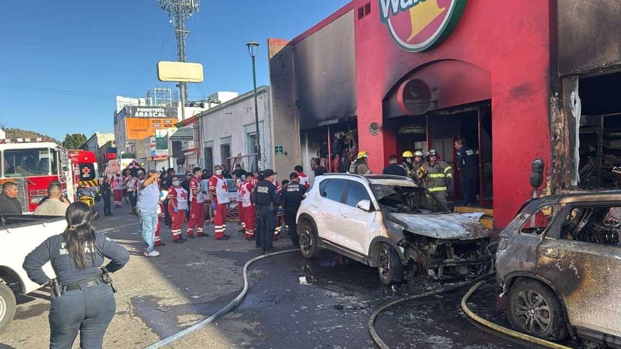 Search image article