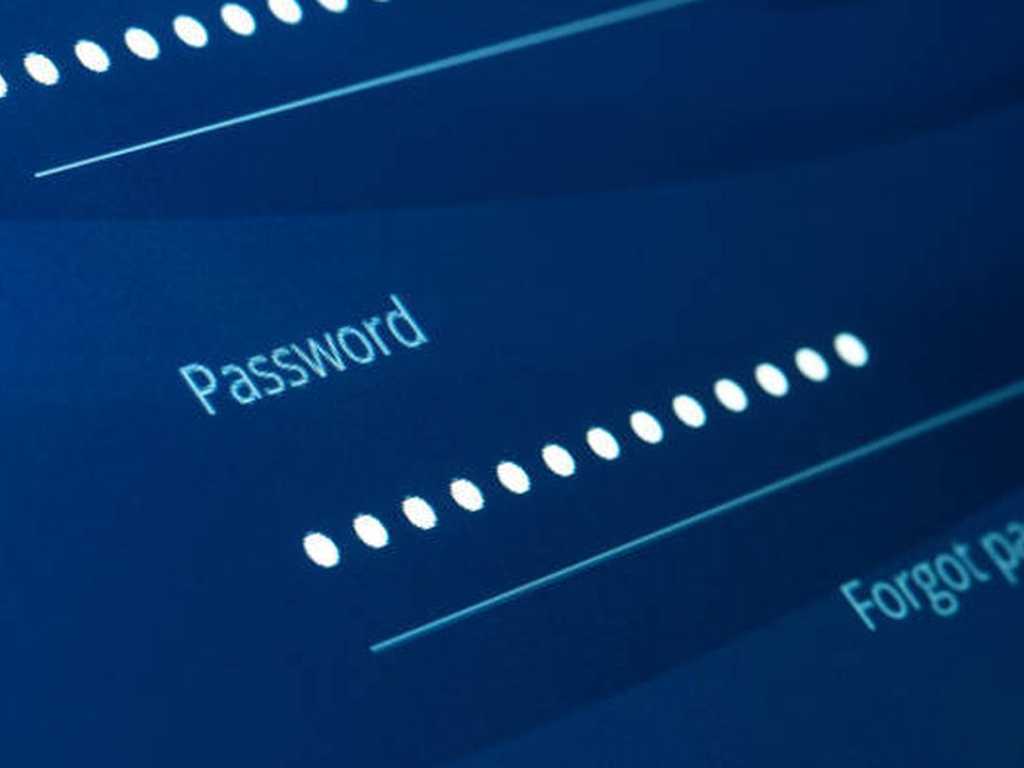 Search image article