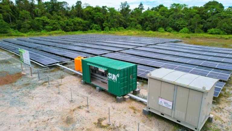 Search image article