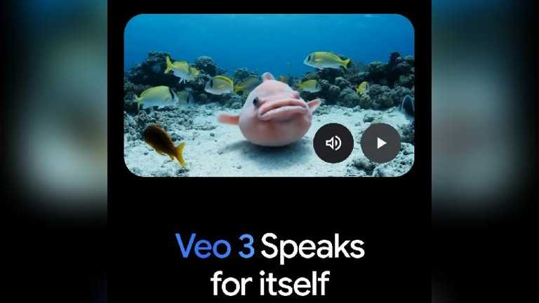Search image article