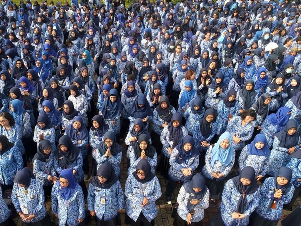 Search image article