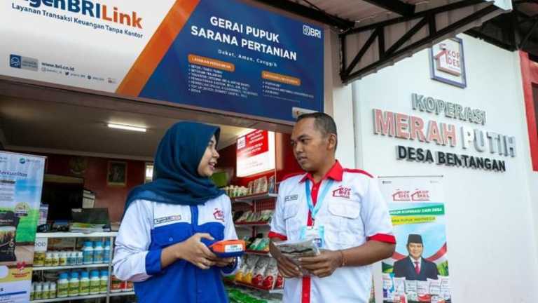 Search image article