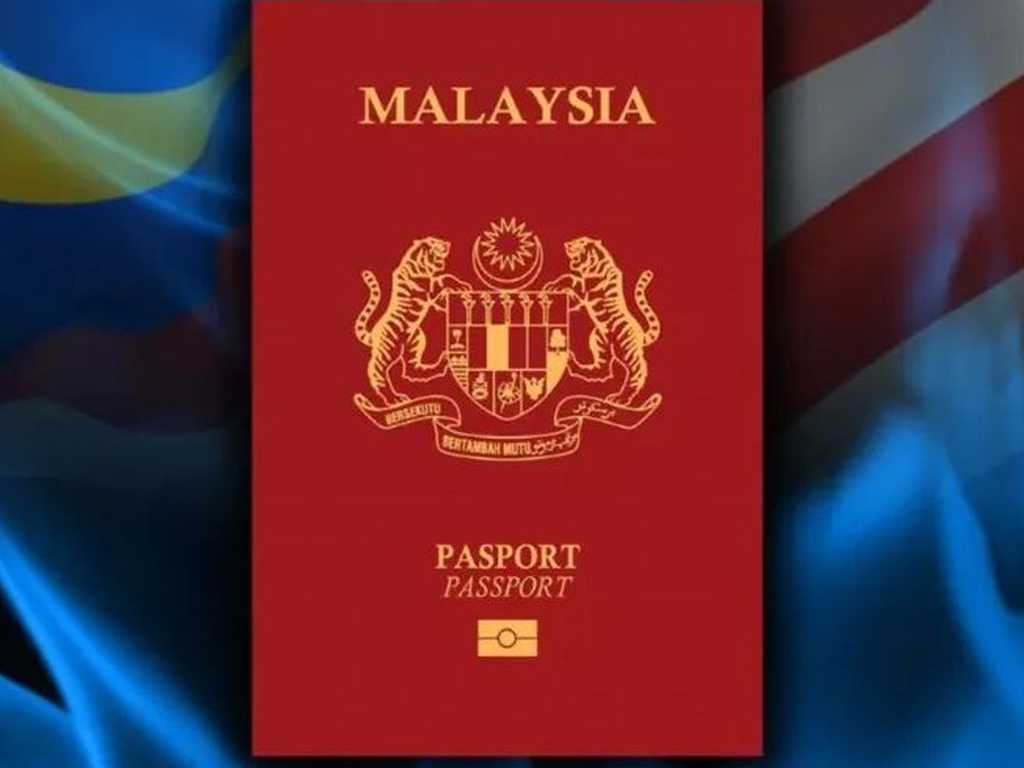 Search image article