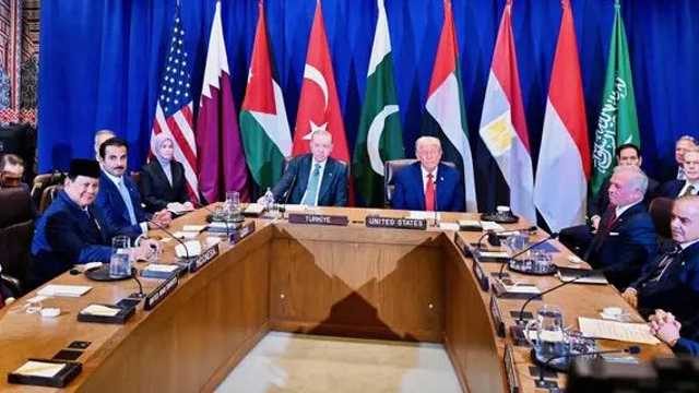 Search image article