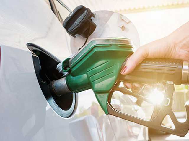 Search image article