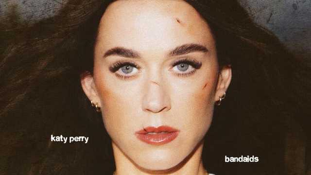 Search image article