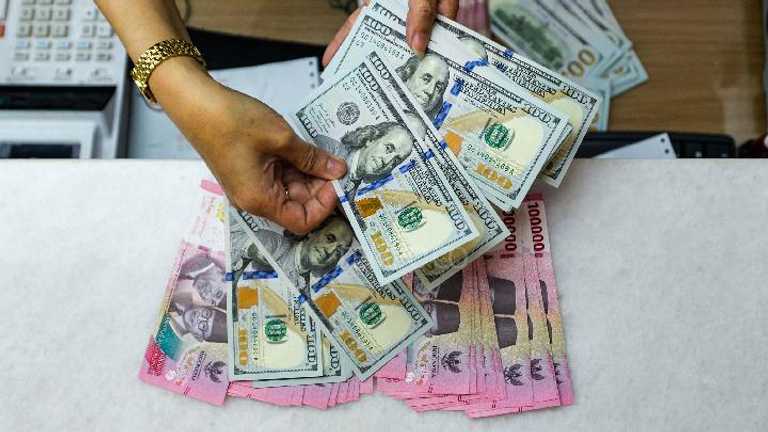 Search image article