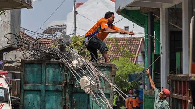 Search image article