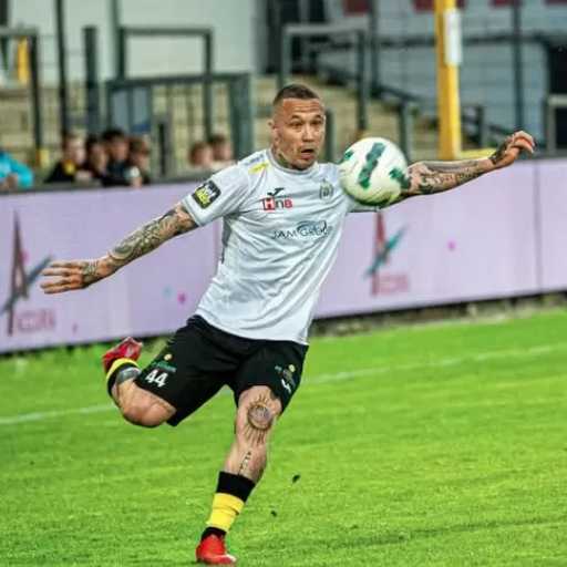 Search image article