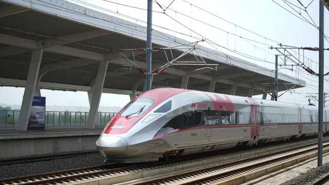 Search image article