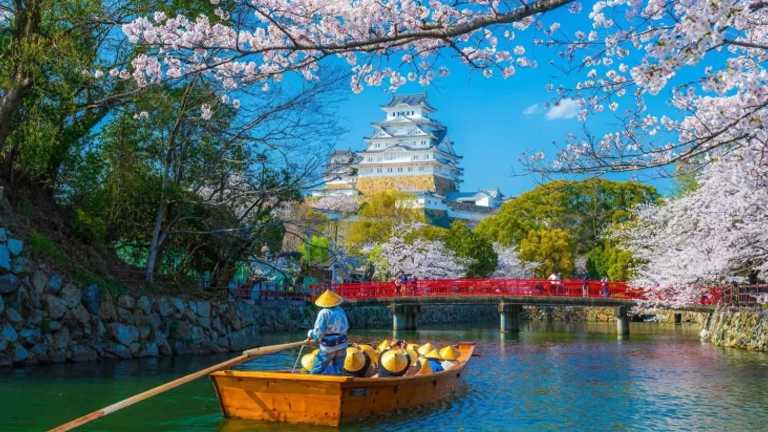 Search image article