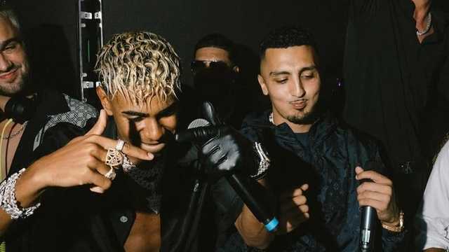 Search image article