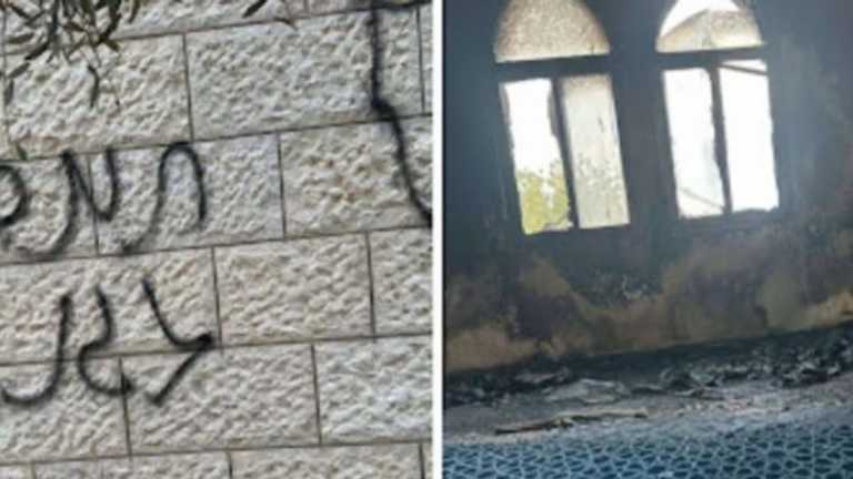 Search image article