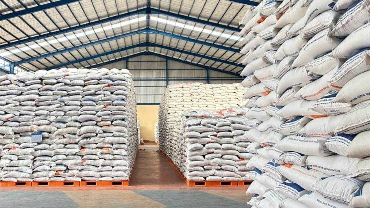 Search image article