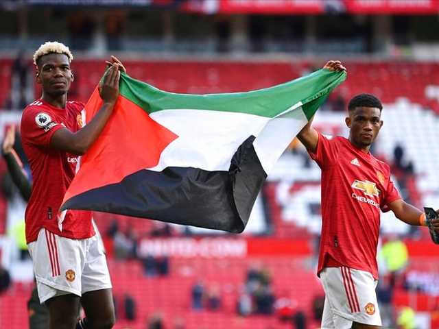 Search image article