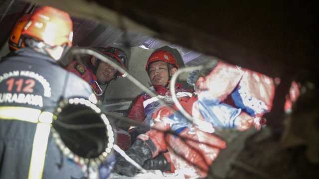 Search image article