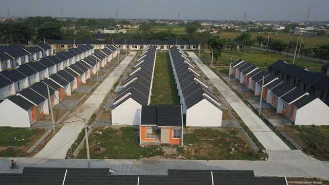 Search image article