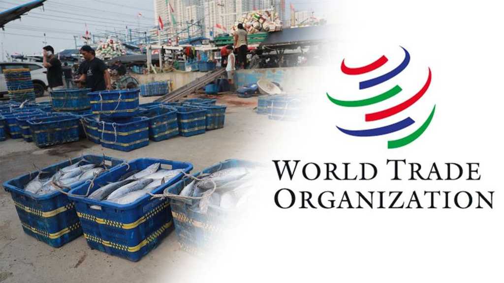 Pembatasan Subsidi Perikanan WTO Resmi Berlaku Setelah Batas Anggota Terpenuhi