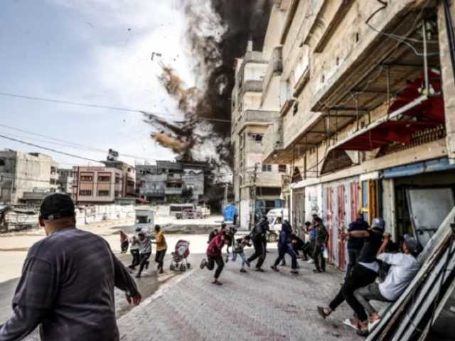 Search image article