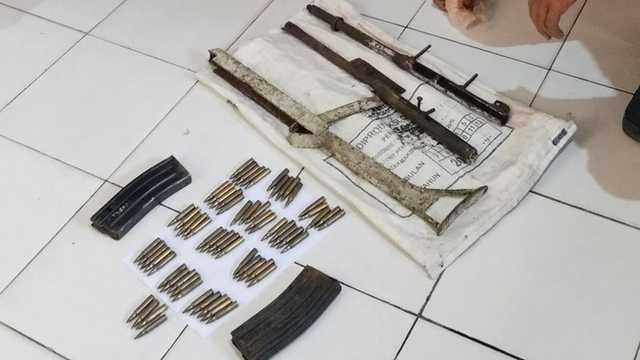 Search image article