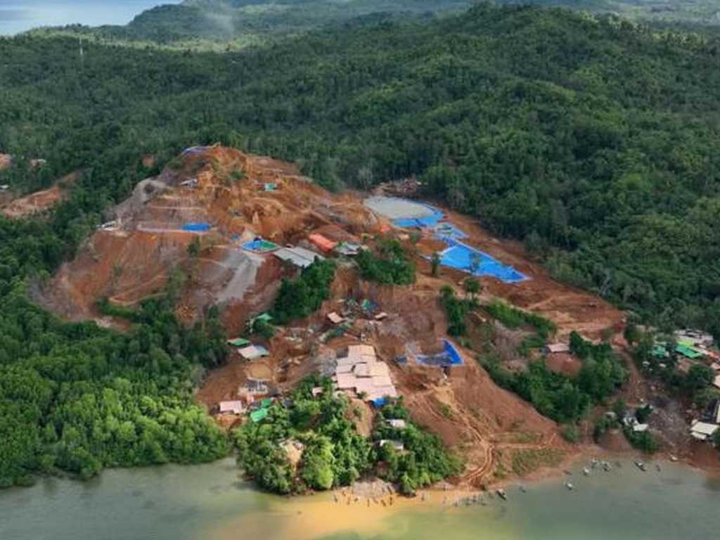 Search image article