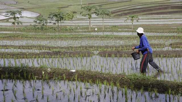 Search image article