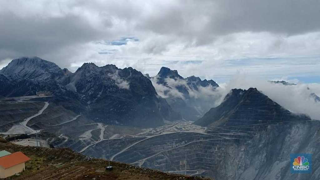 Search image article