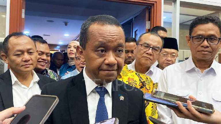 Search image article