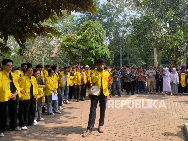 Search image article