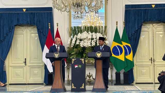 Search image article