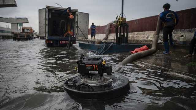 Search image article