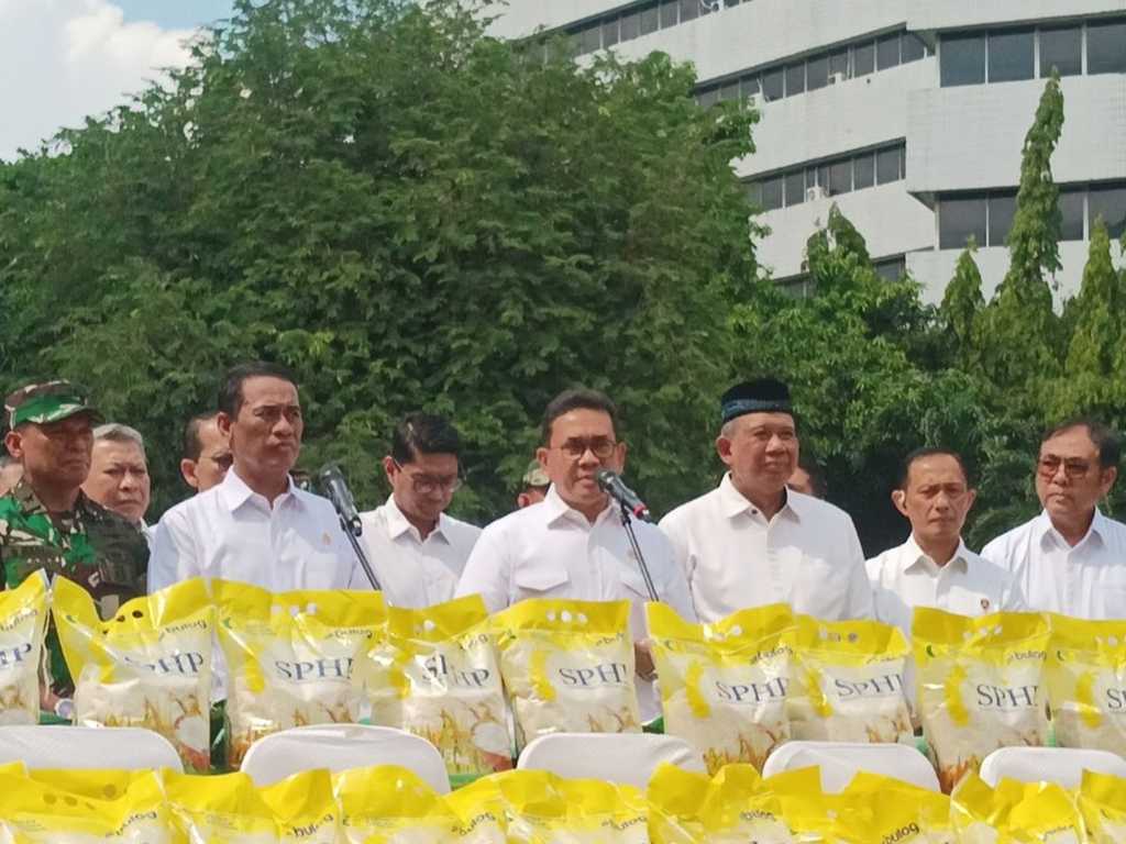 Search image article