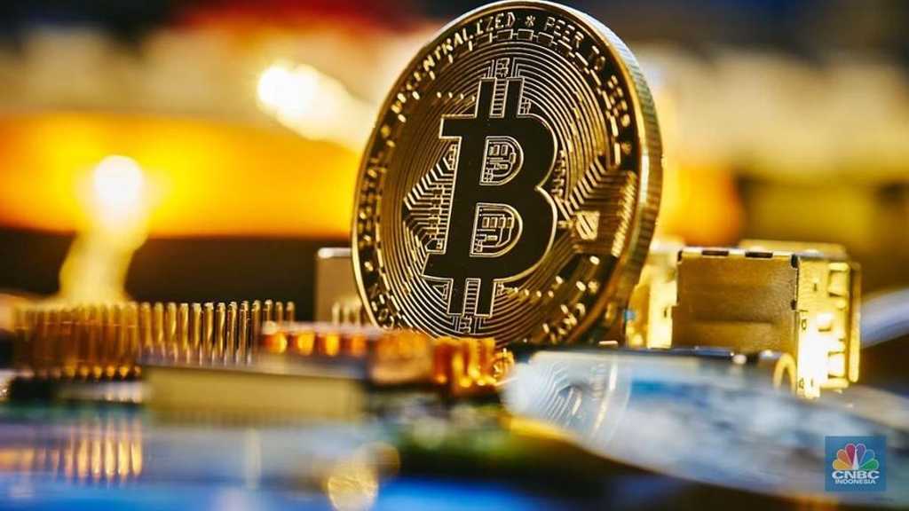 Search image article