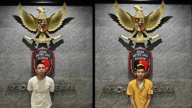 Search image article