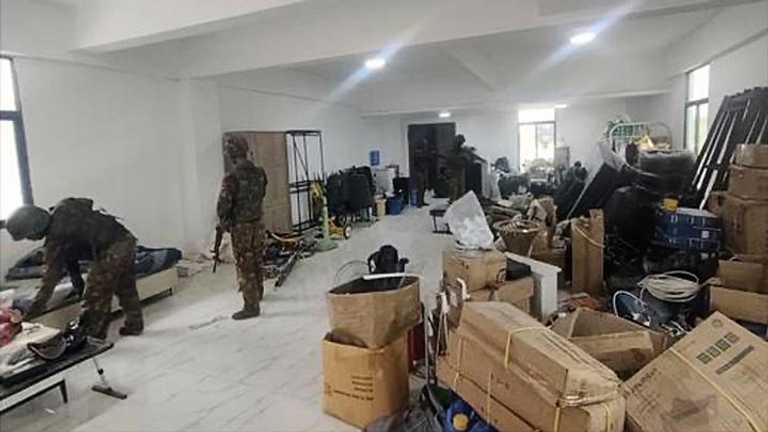 Search image article