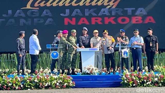 Search image article