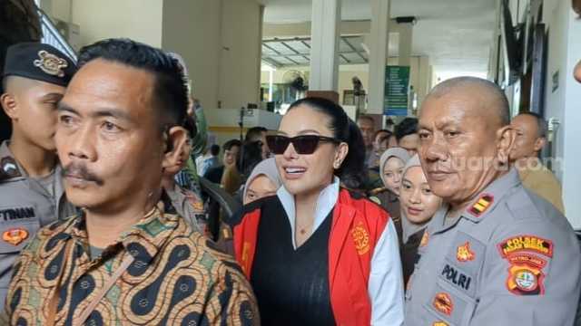 Search image article