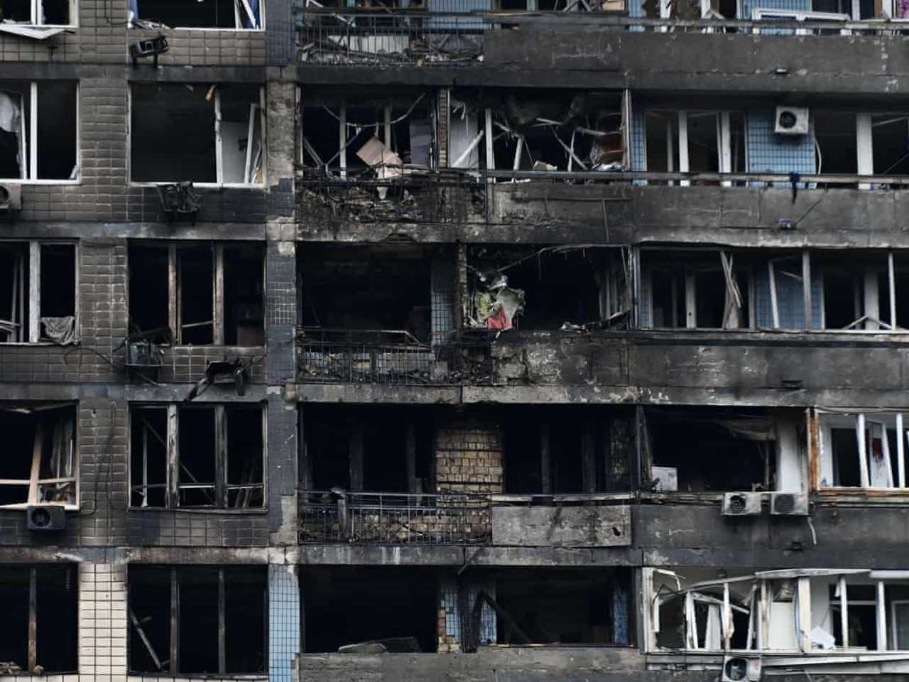 Search image article