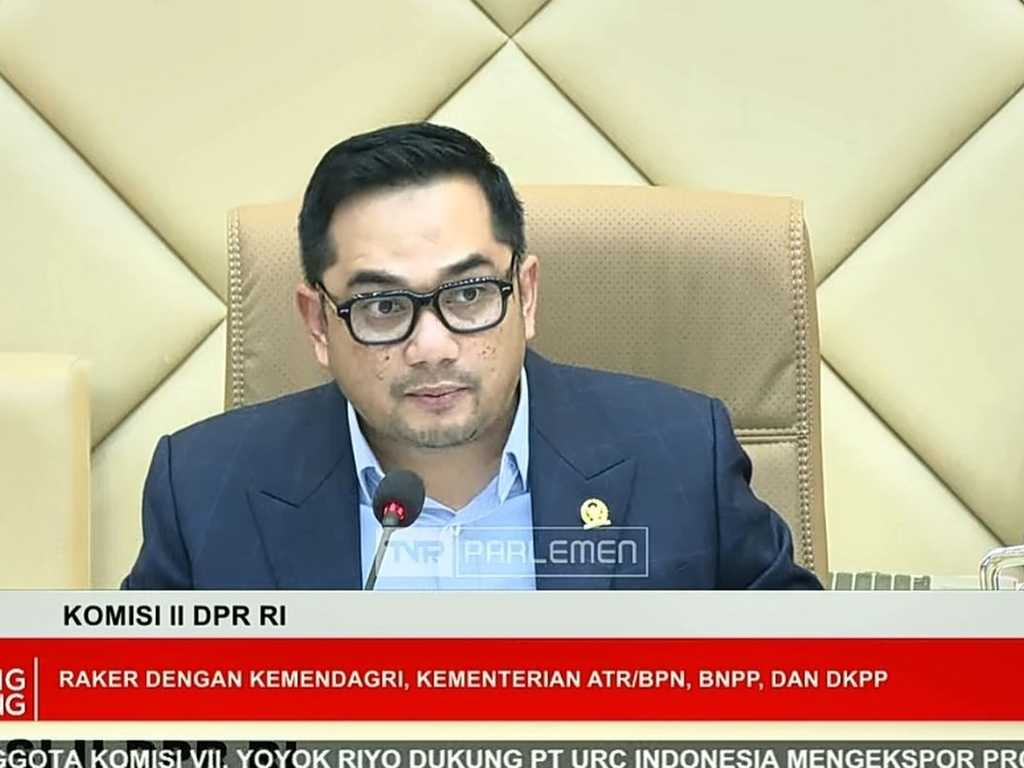 Search image article