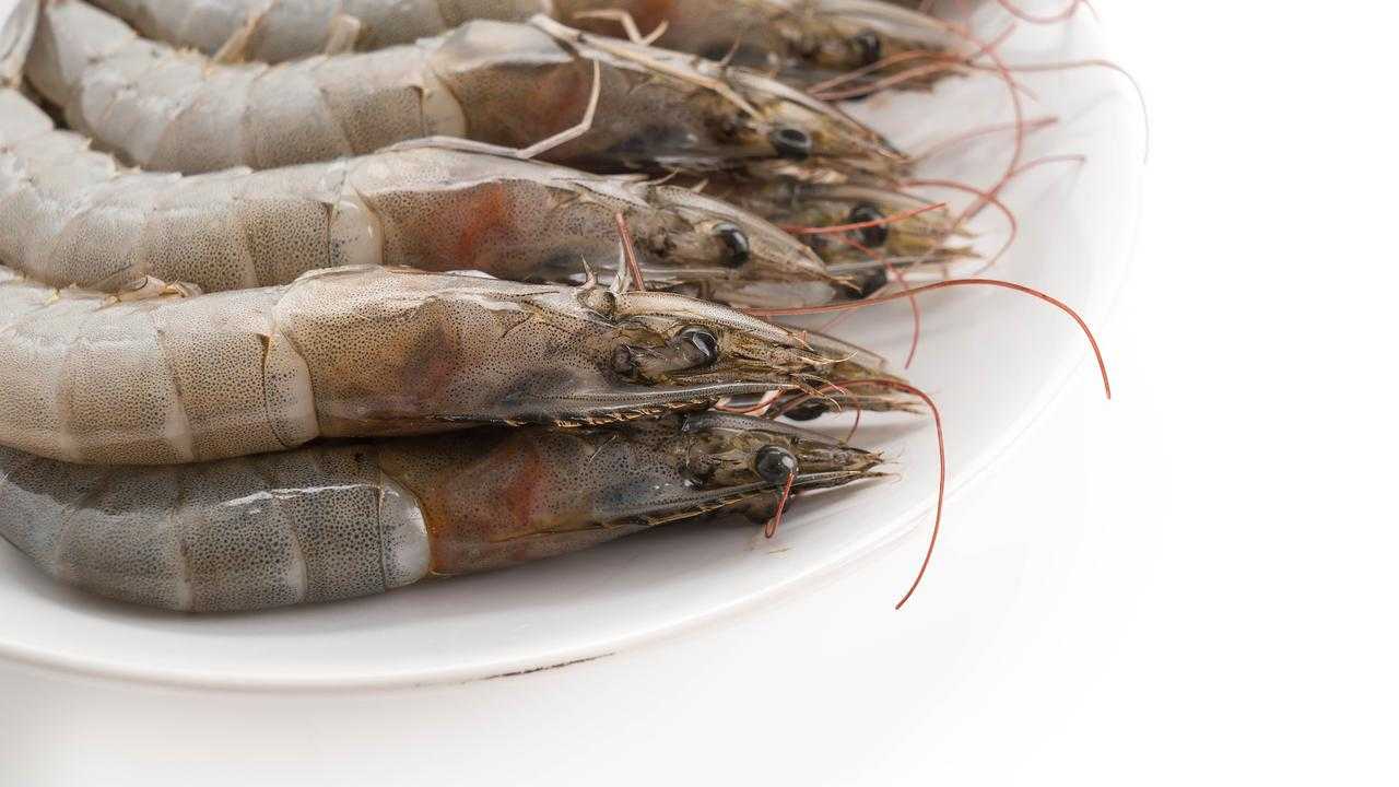 Search image article