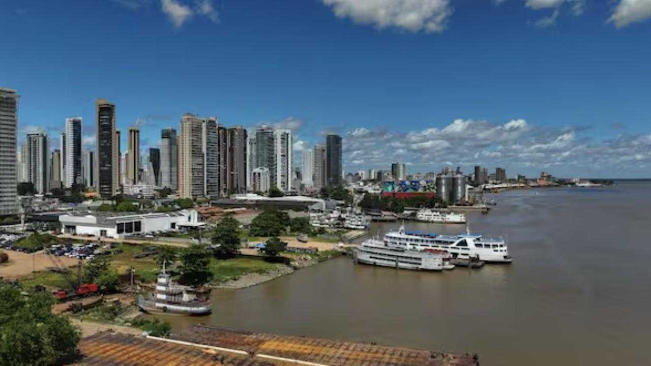 Search image article