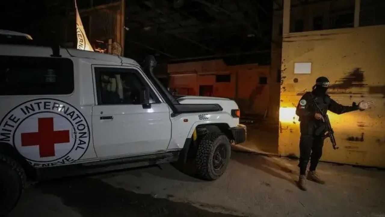 Search image article