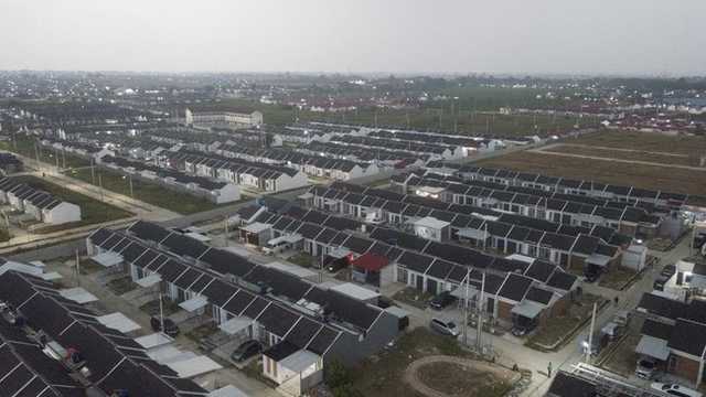 Search image article