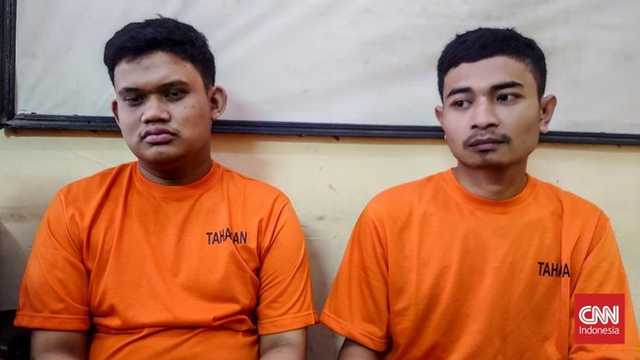 Search image article